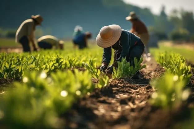 Farmer